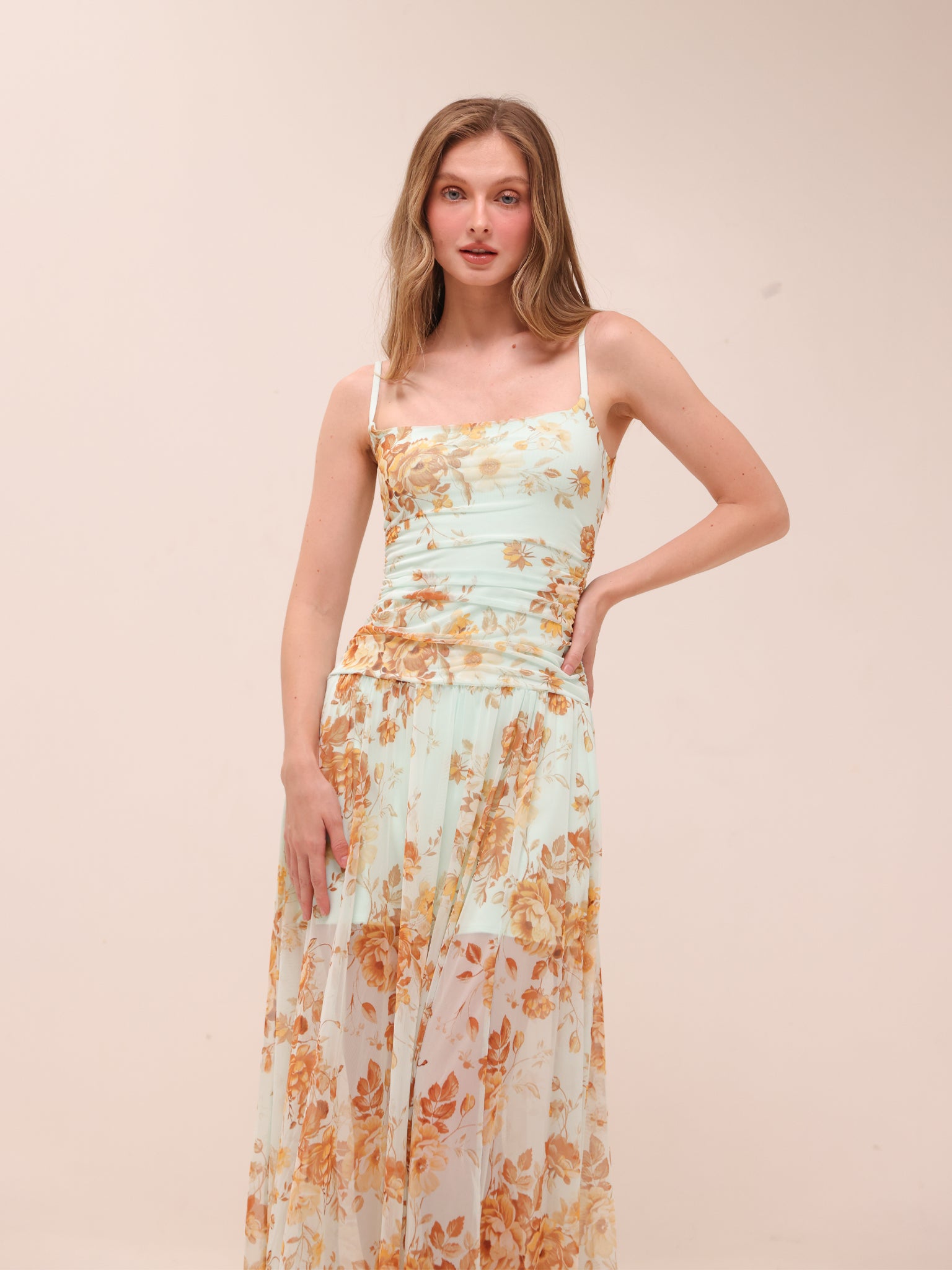 Flowy Sheer Maxi Dress