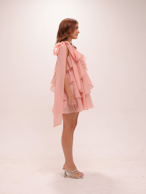 Erin Mini in Muted Rose