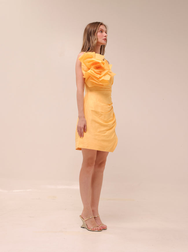 Energy Mini Dress