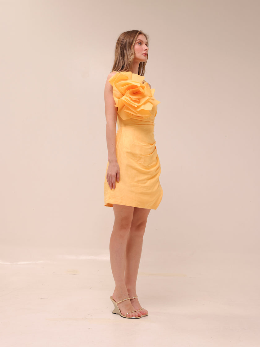 Energy Mini Dress