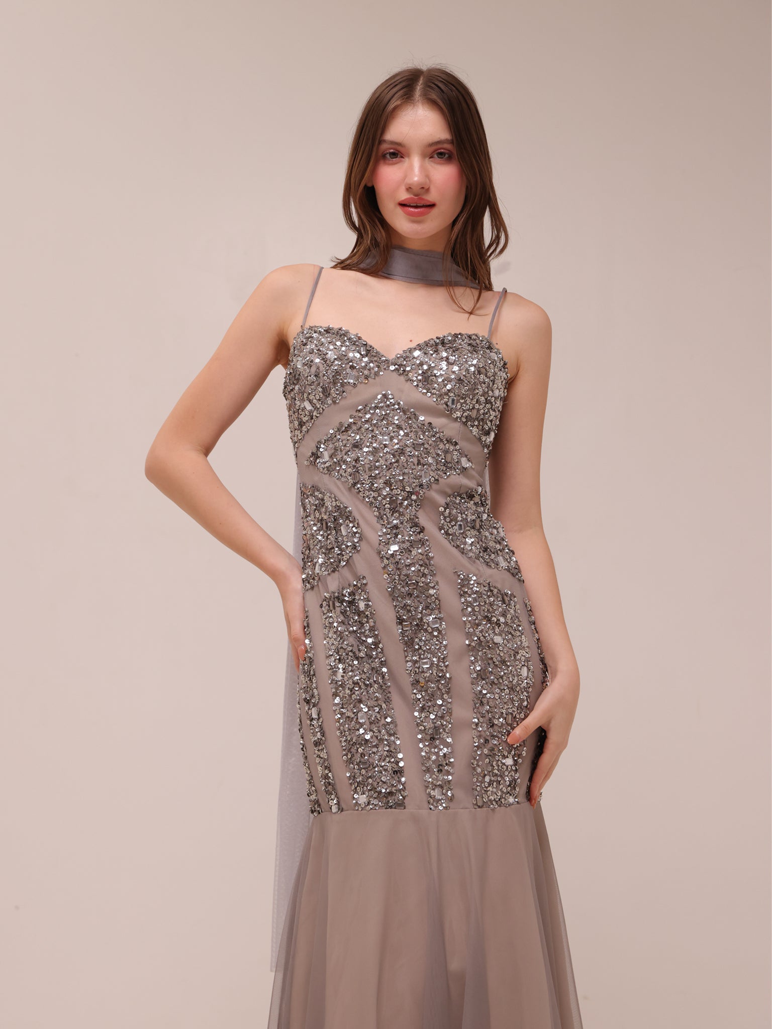 Silver Embellished Illusion Mermaid Gown