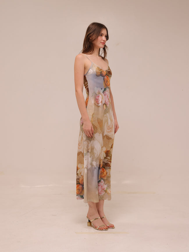 Bryony Rosalia Dress