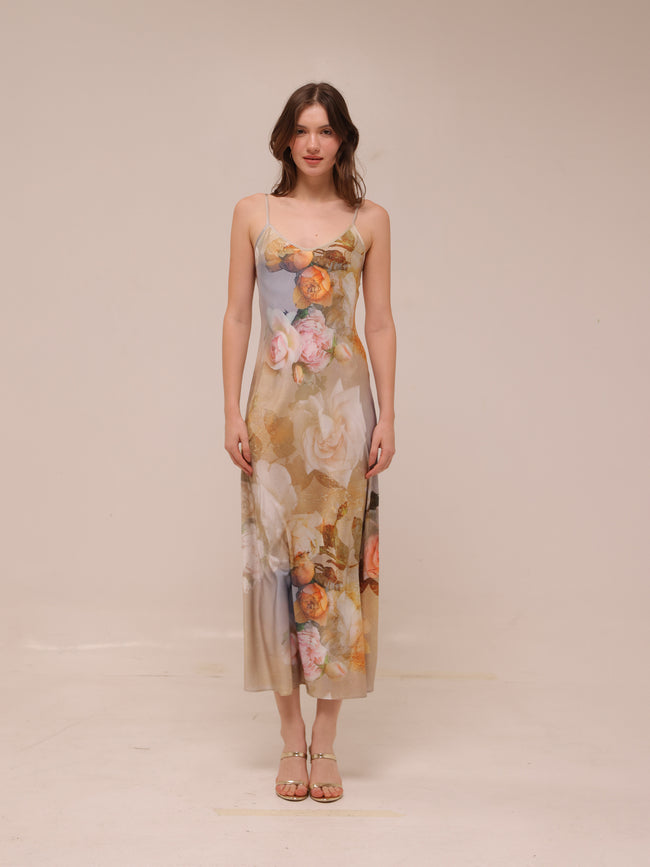 Bryony Rosalia Dress