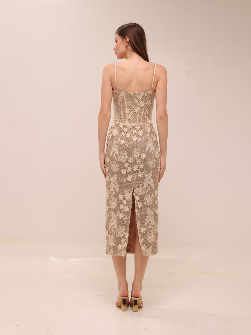Lace Corset Midi Dress