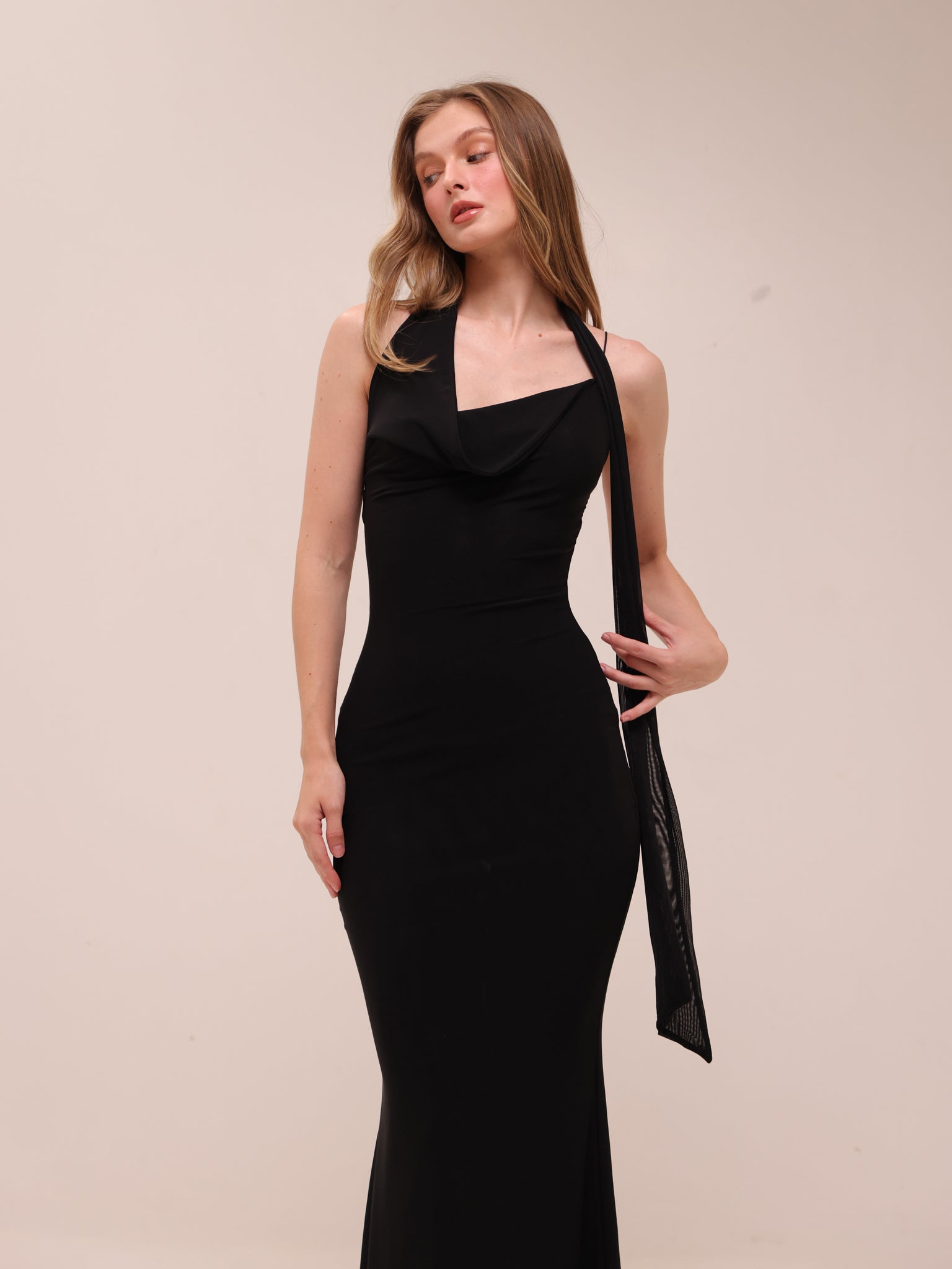 Mesh Halter-Neck Cowl Gown in Black