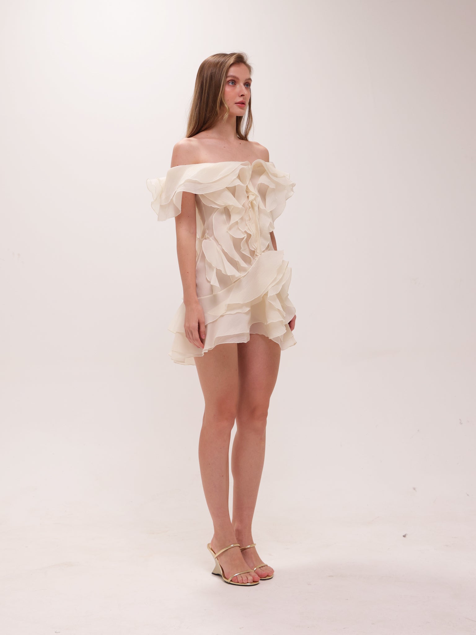 Rosanne Mini Dress
