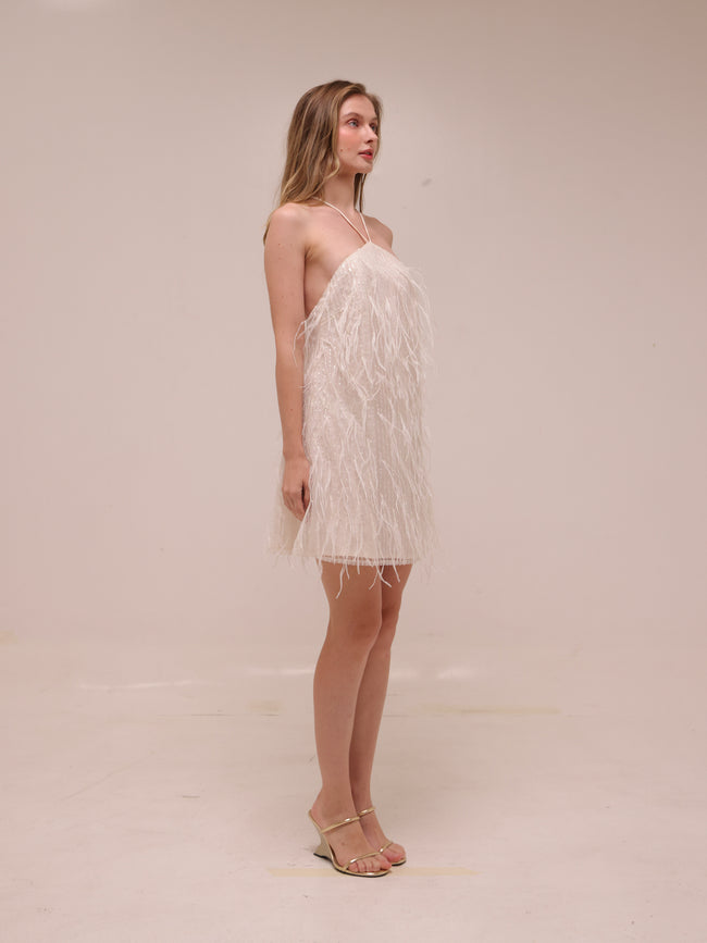 Rehearsal Mini Dress in Net