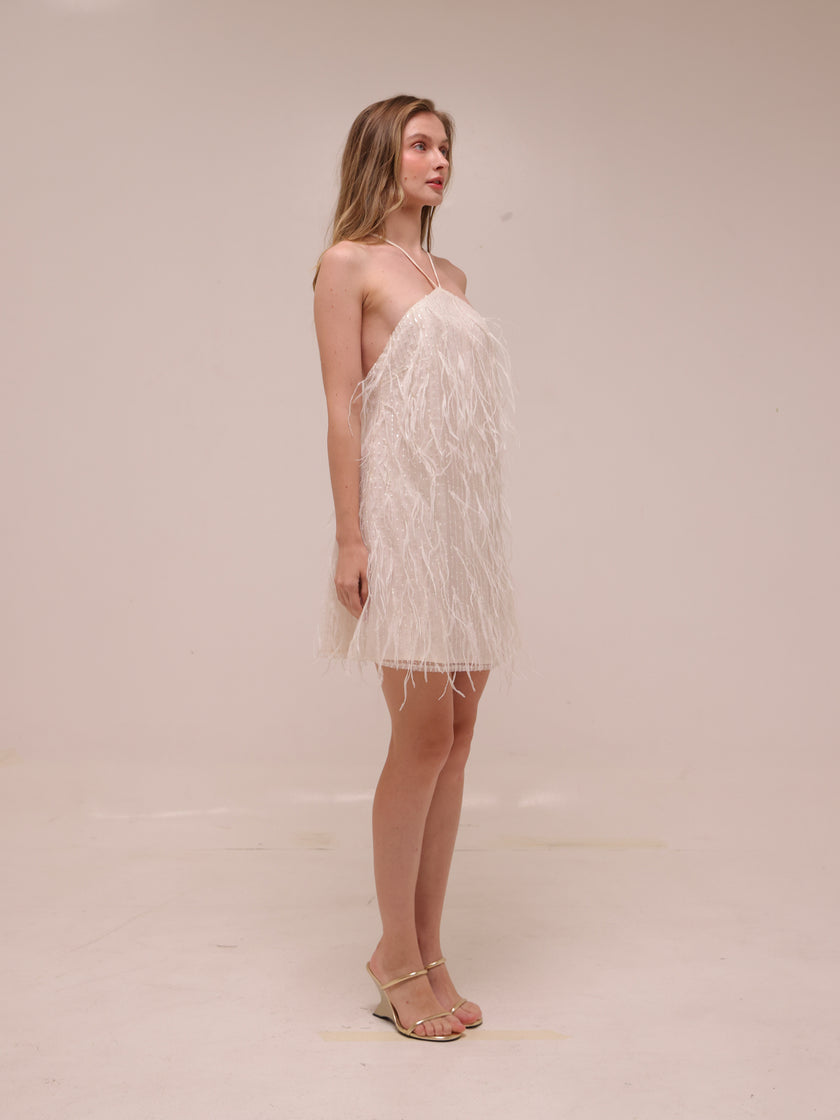 Rehearsal Mini Dress in Net