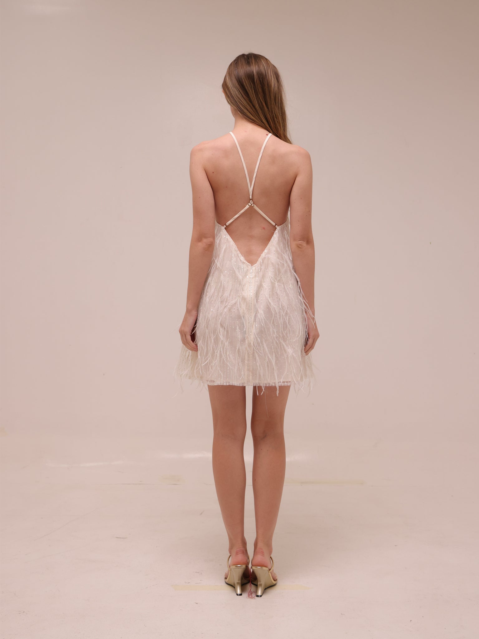 Rehearsal Mini Dress in Net
