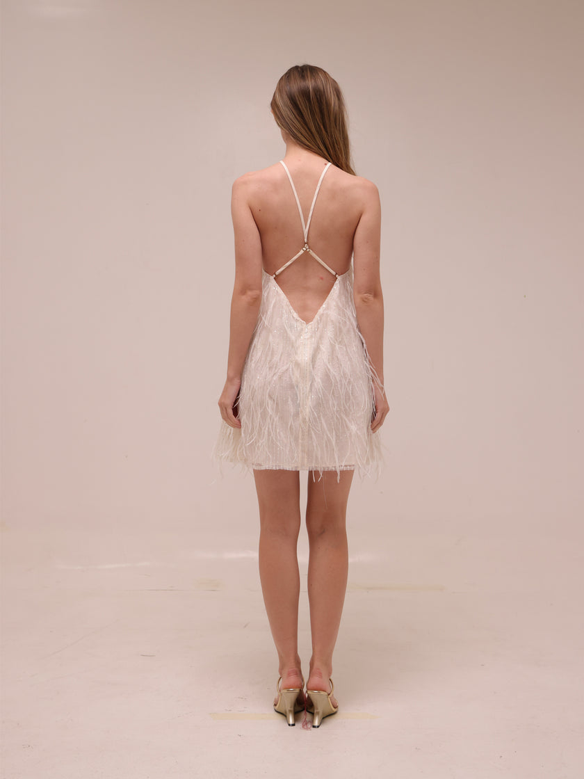 Rehearsal Mini Dress in Net