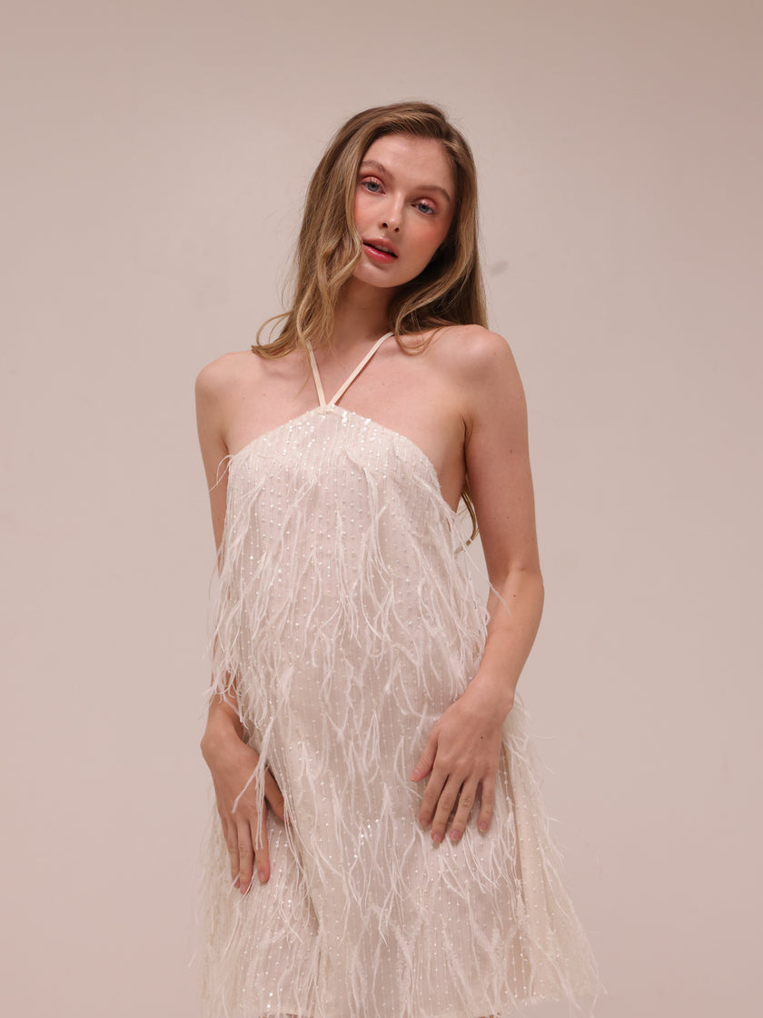 Rehearsal Mini Dress in Net