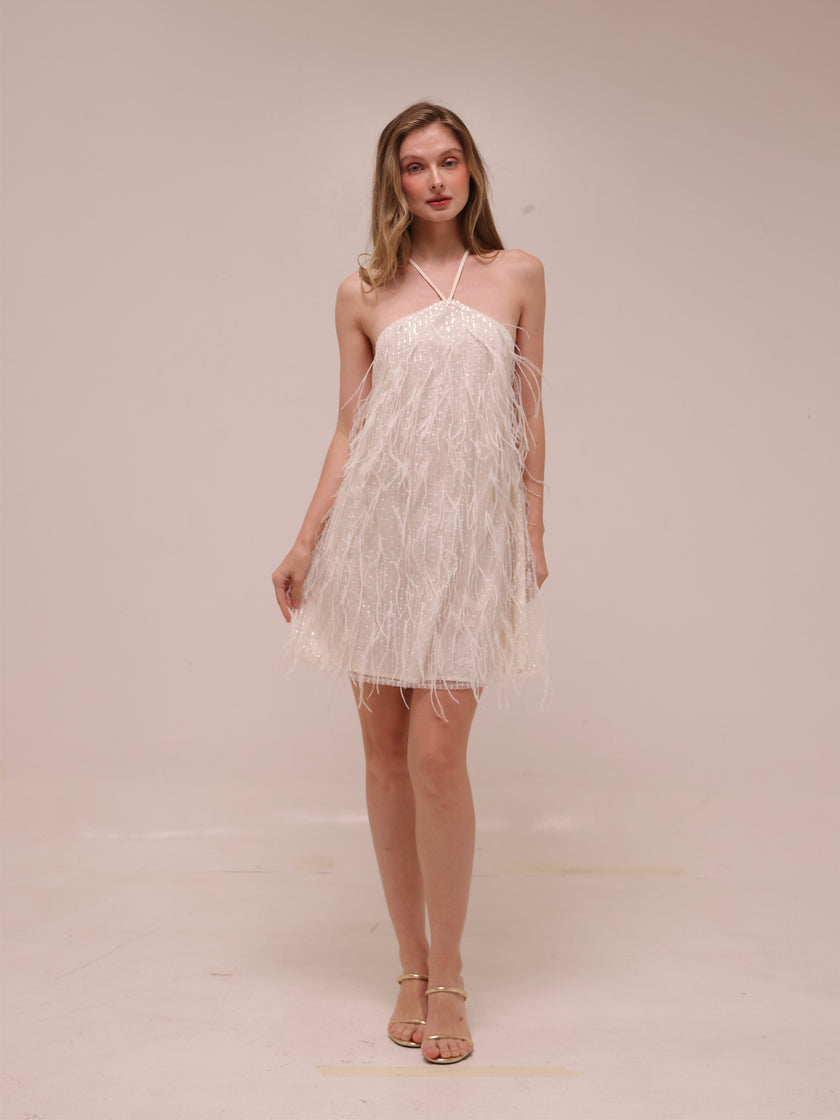 Rehearsal Mini Dress in Net