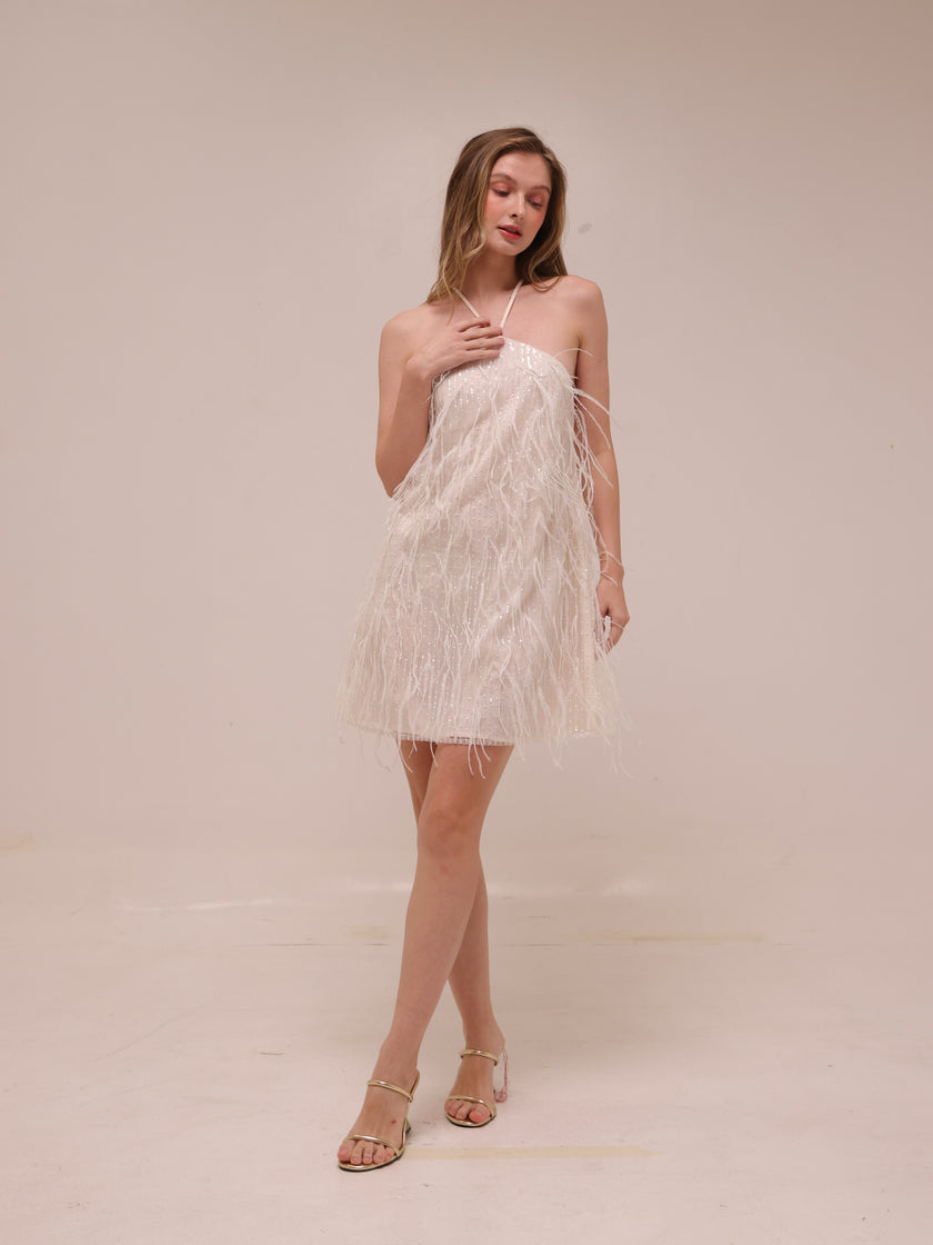 Rehearsal Mini Dress in Net
