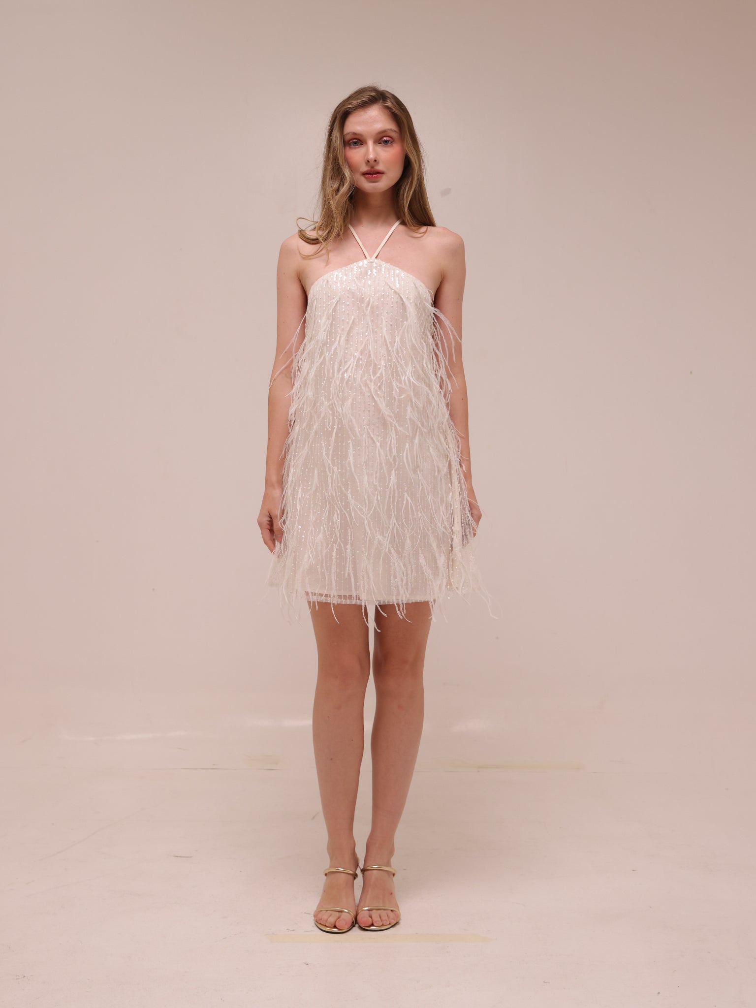 Rehearsal Mini Dress in Net