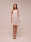 Rehearsal Mini Dress in Net