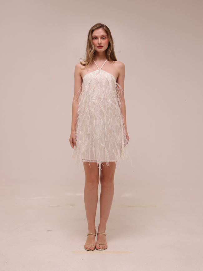 Rehearsal Mini Dress in Net