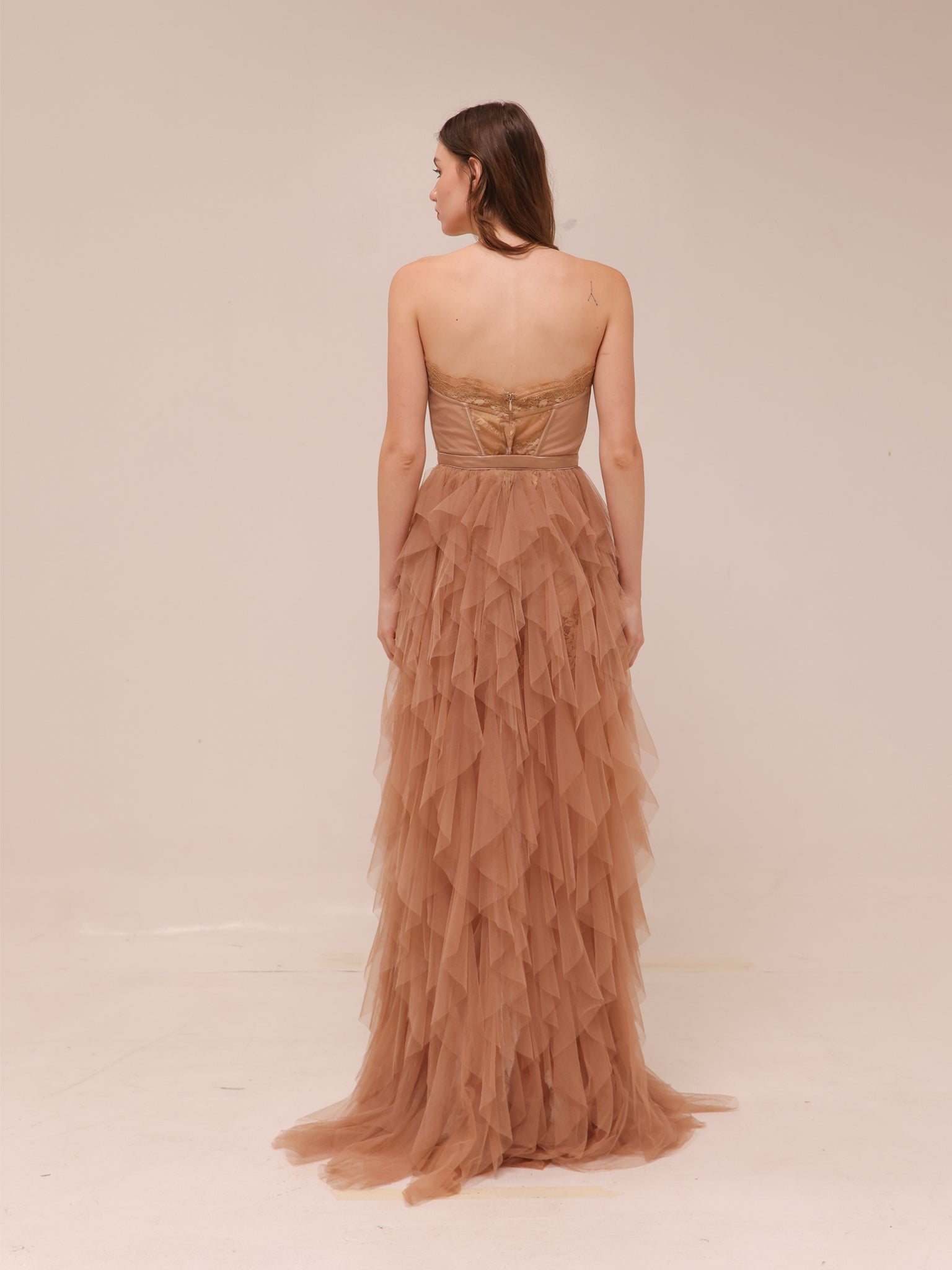 Nude Bustier Tulle Gown