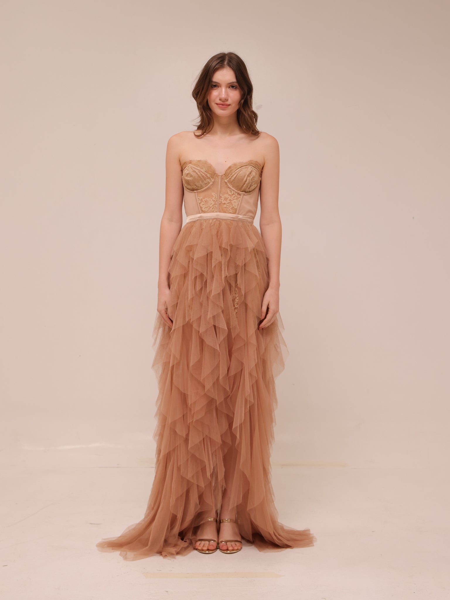 Nude Bustier Tulle Gown