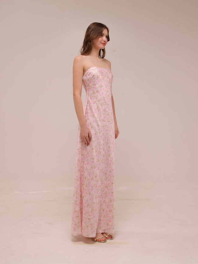 Carla Strapless Maxi Dress