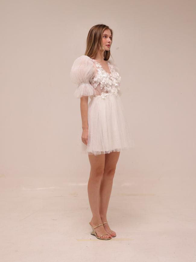 Arielle Tulle Dress