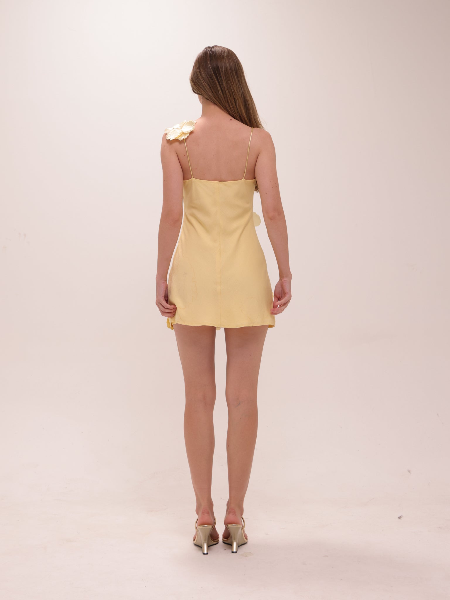 Buttercup Fleur Mini Dress
