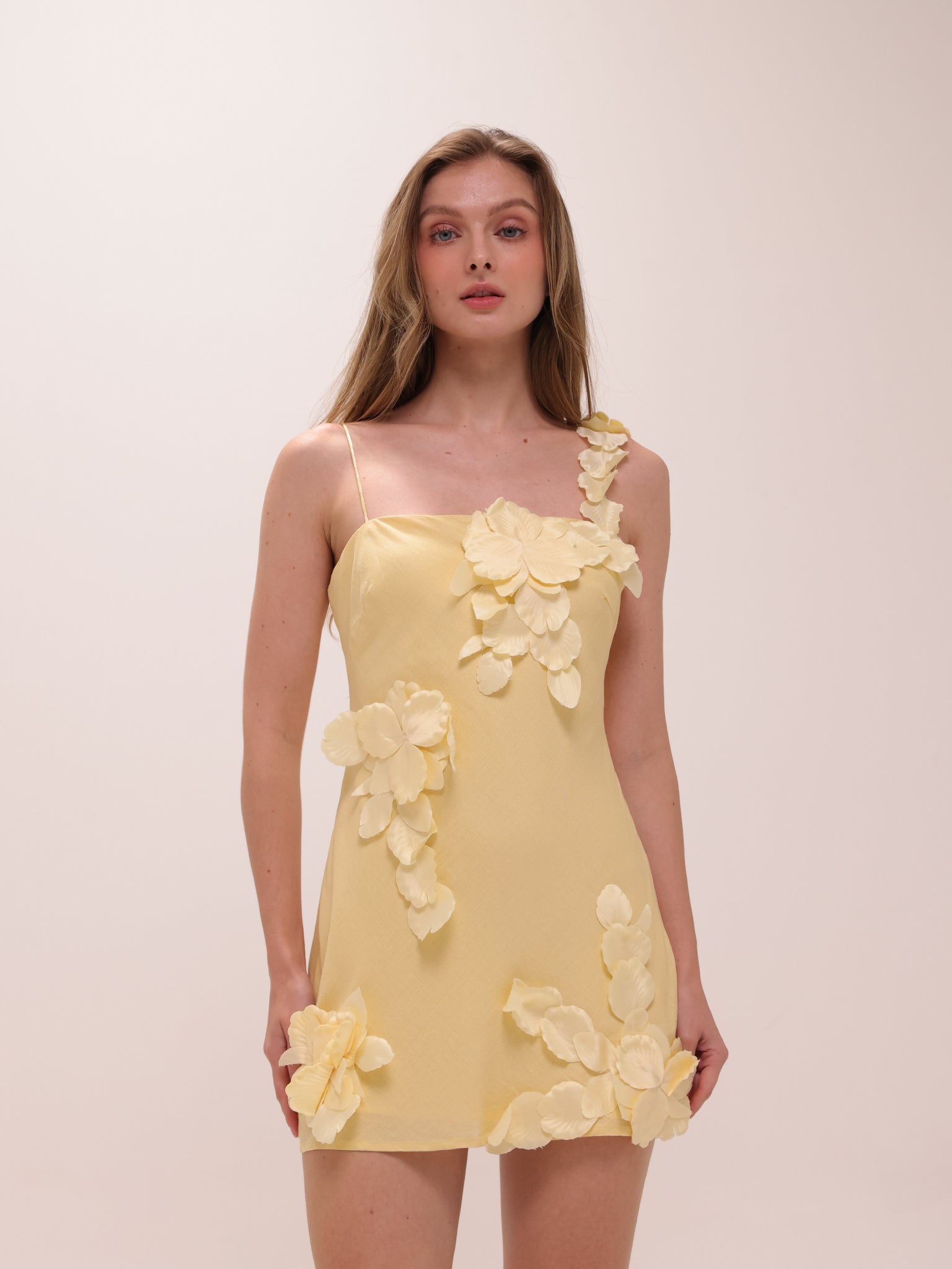 Buttercup Fleur Mini Dress