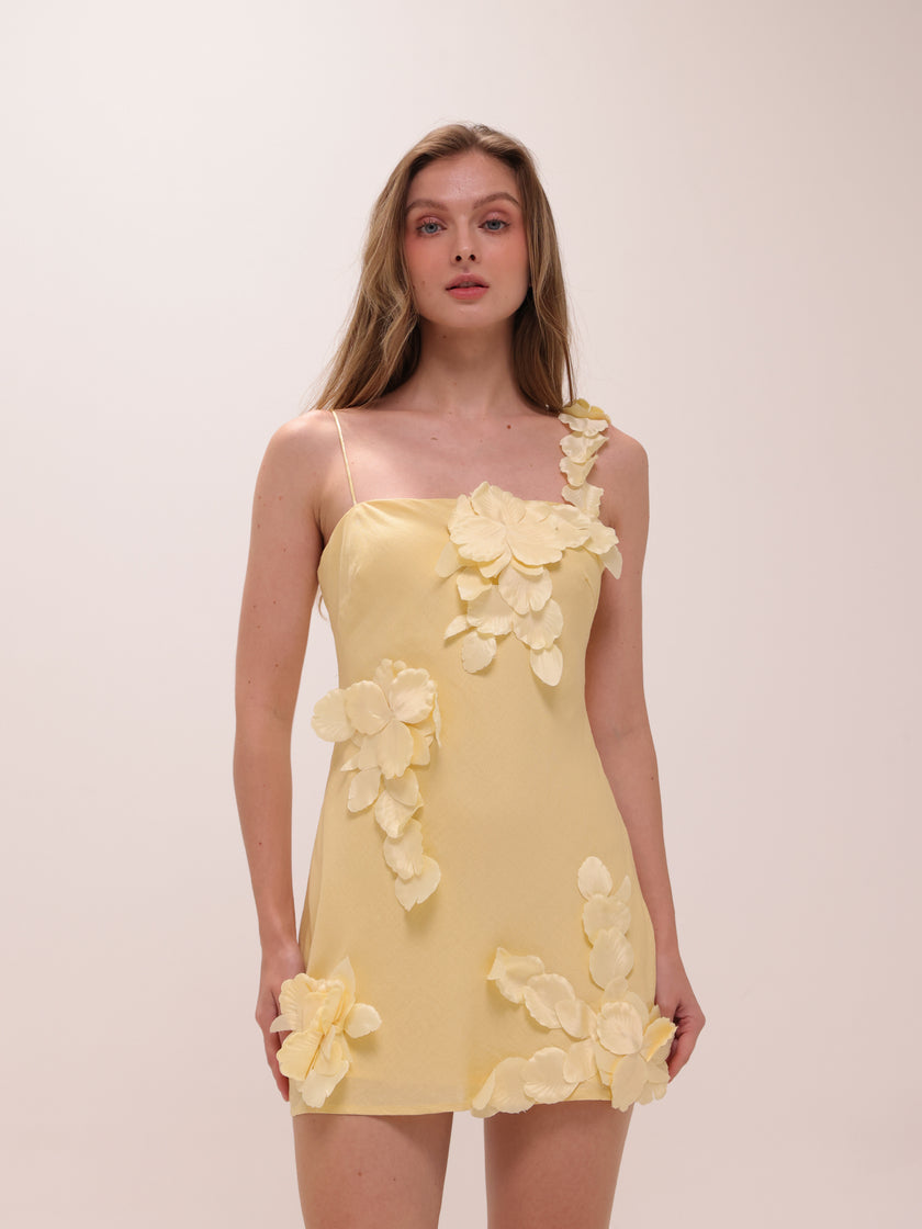Buttercup Fleur Mini Dress