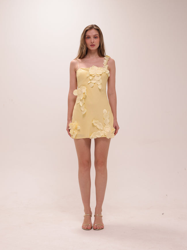 Buttercup Fleur Mini Dress