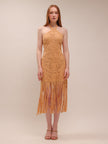 Alisa Fringe Dress