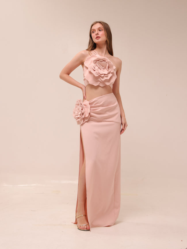Artemis Gown in Pink
