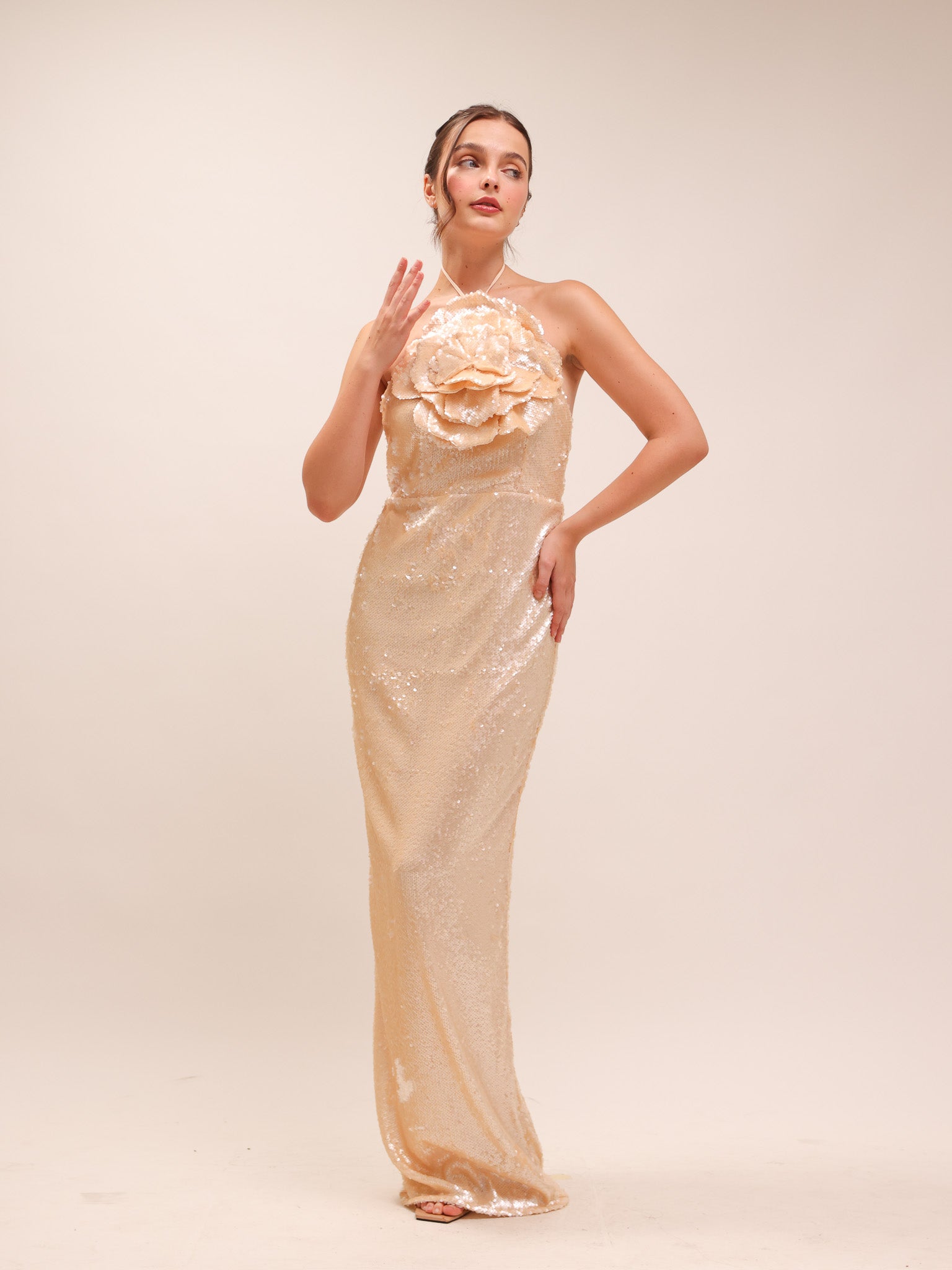 Rachel Lilium Sequin Gown