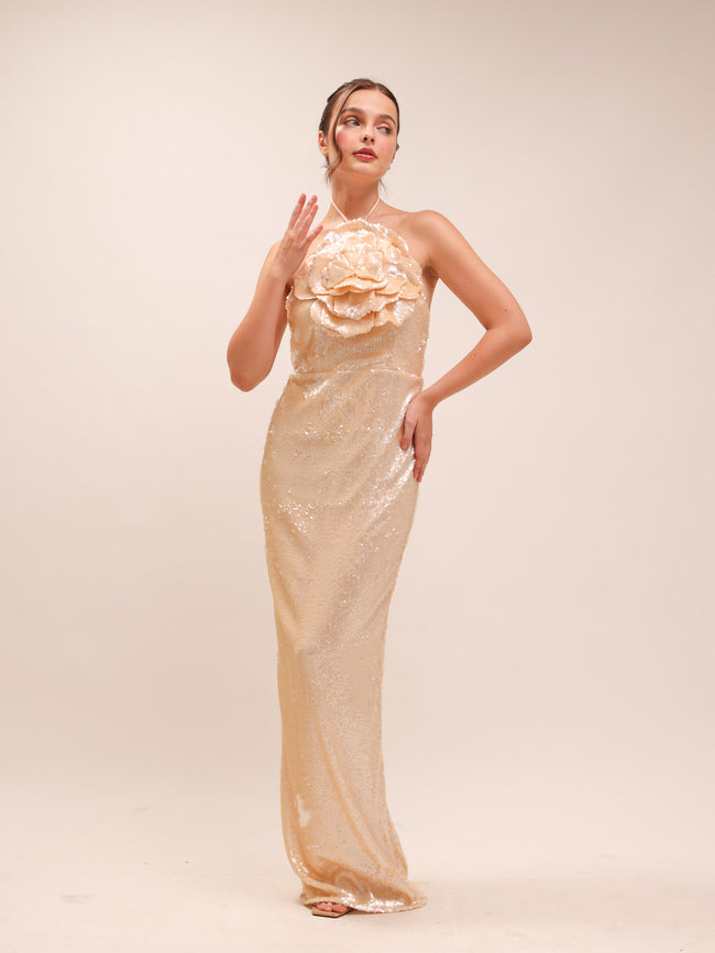 Rachel Lilium Sequin Gown