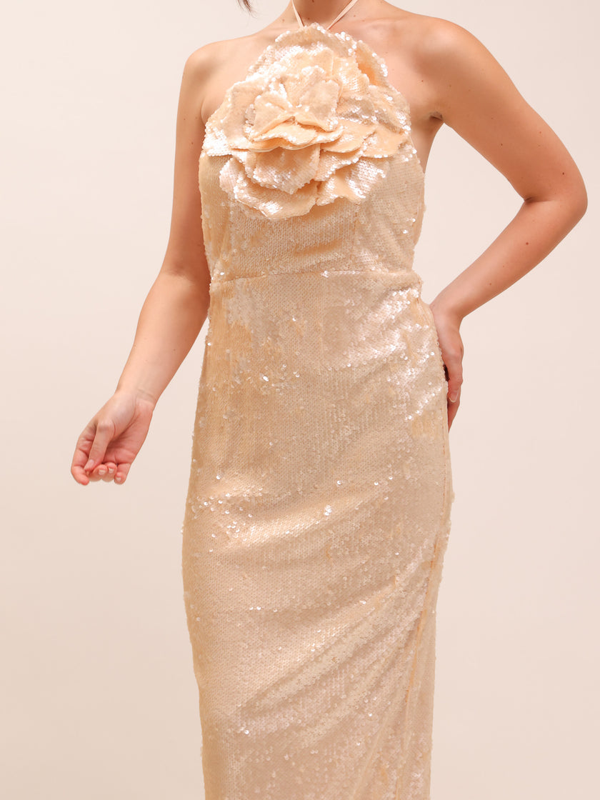 Rachel Lilium Sequin Gown