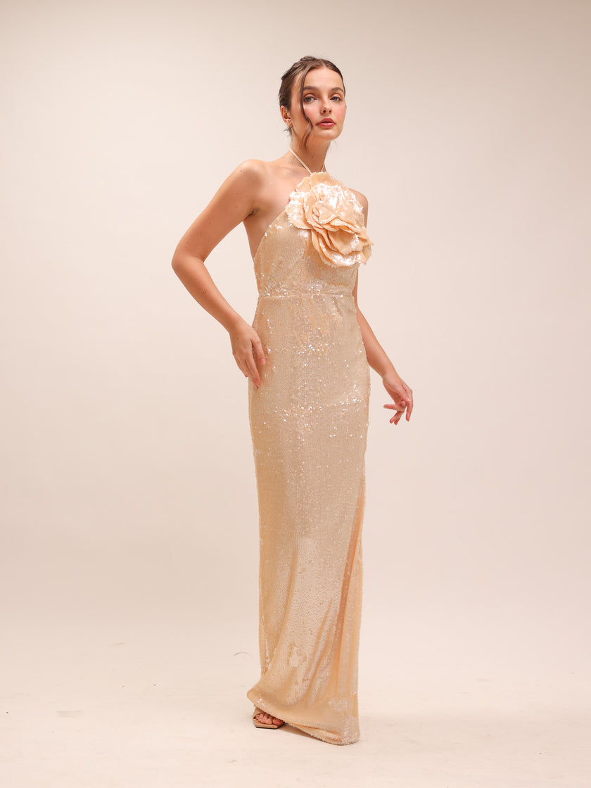 Rachel Lilium Sequin Gown