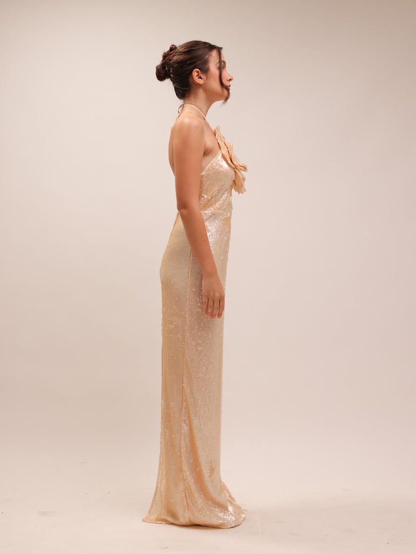 Rachel Lilium Sequin Gown