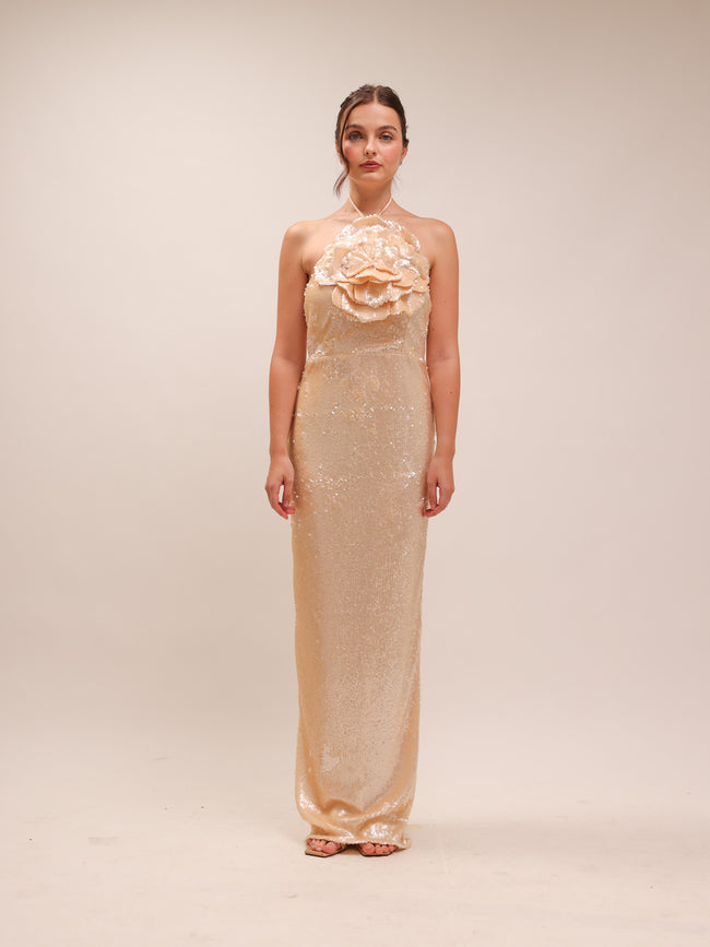 Rachel Lilium Sequin Gown