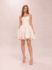 Skye Appliqué Bustier Mini Dress