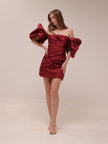 Brenda Puffy Sleeve Mini Dress