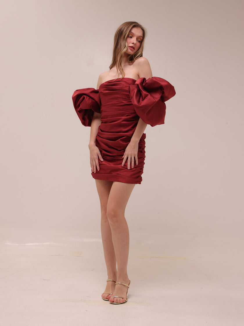 Brenda Puffy Sleeve Mini Dress