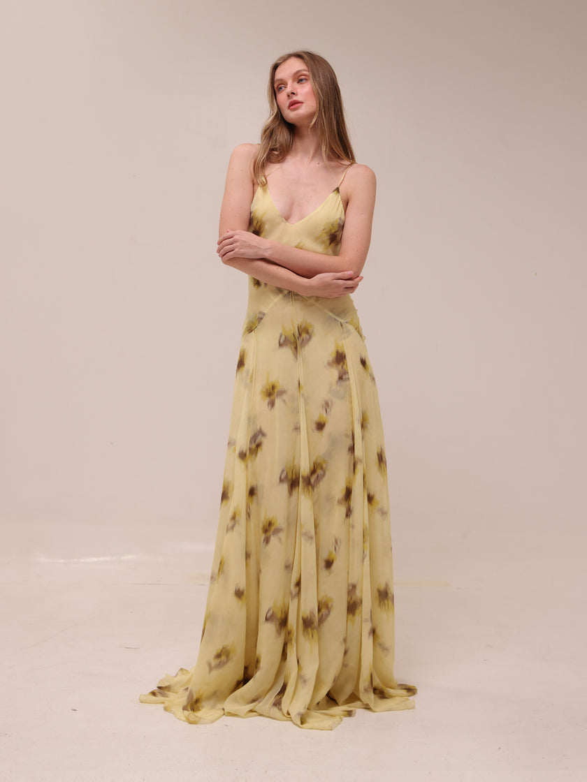 Capsule Chiffon Maxi Dress