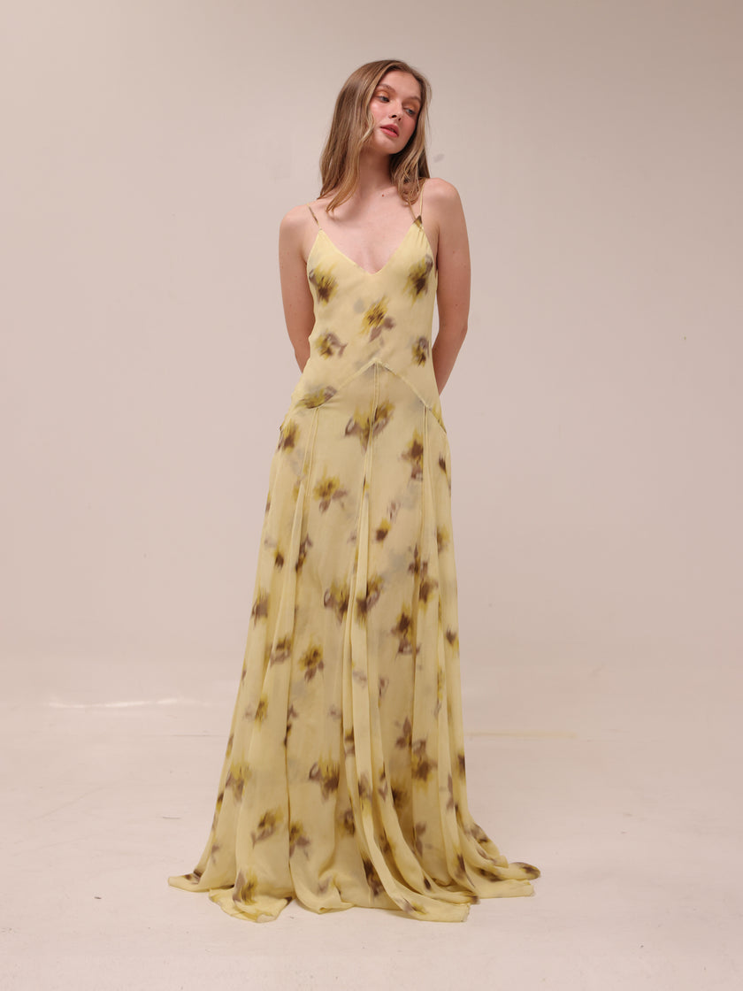 Capsule Chiffon Maxi Dress