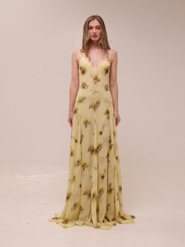 Capsule Chiffon Maxi Dress