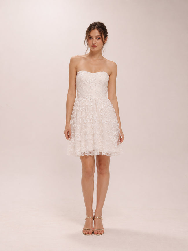 Strapless Embroidered Tulle Minidress
