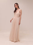 Blush Chiffon Draped Gown