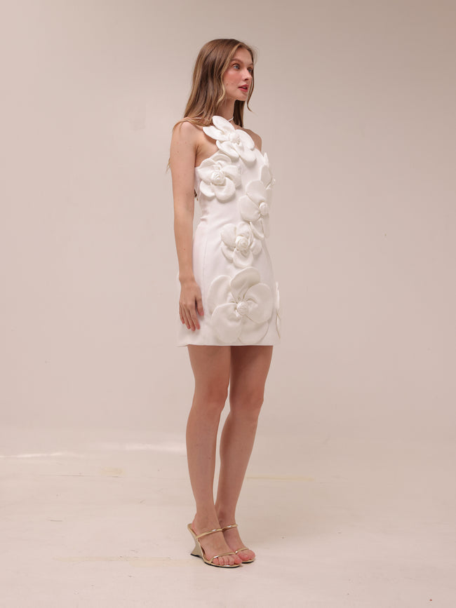Liane White Floral Off-Shoulder Mini Dress