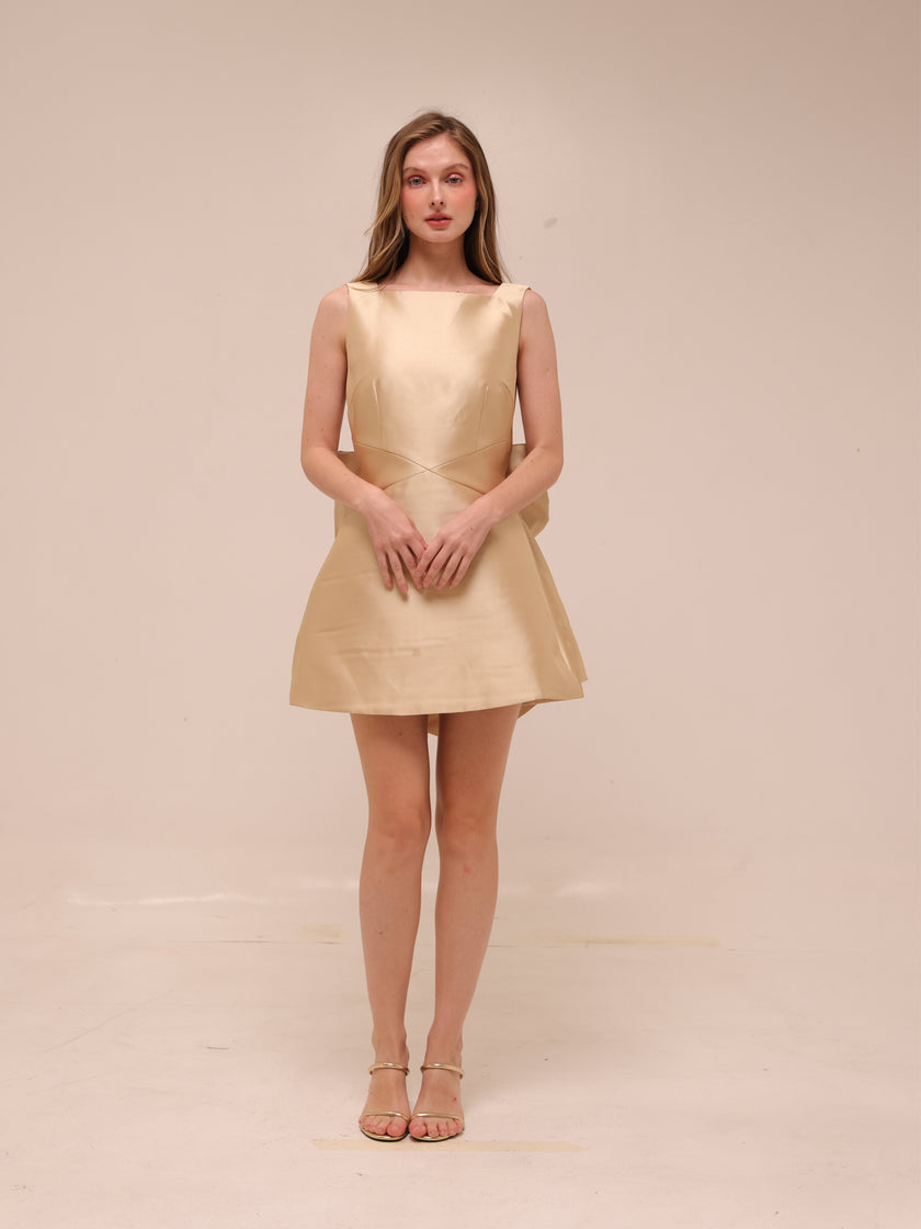 The Ultimate Muse Bow Detail Mini Dress