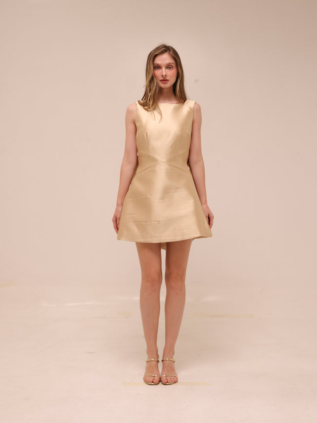 The Ultimate Muse Bow Detail Mini Dress