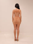 Beige Ruched Mesh long-sleeve Bodycon Mini dress