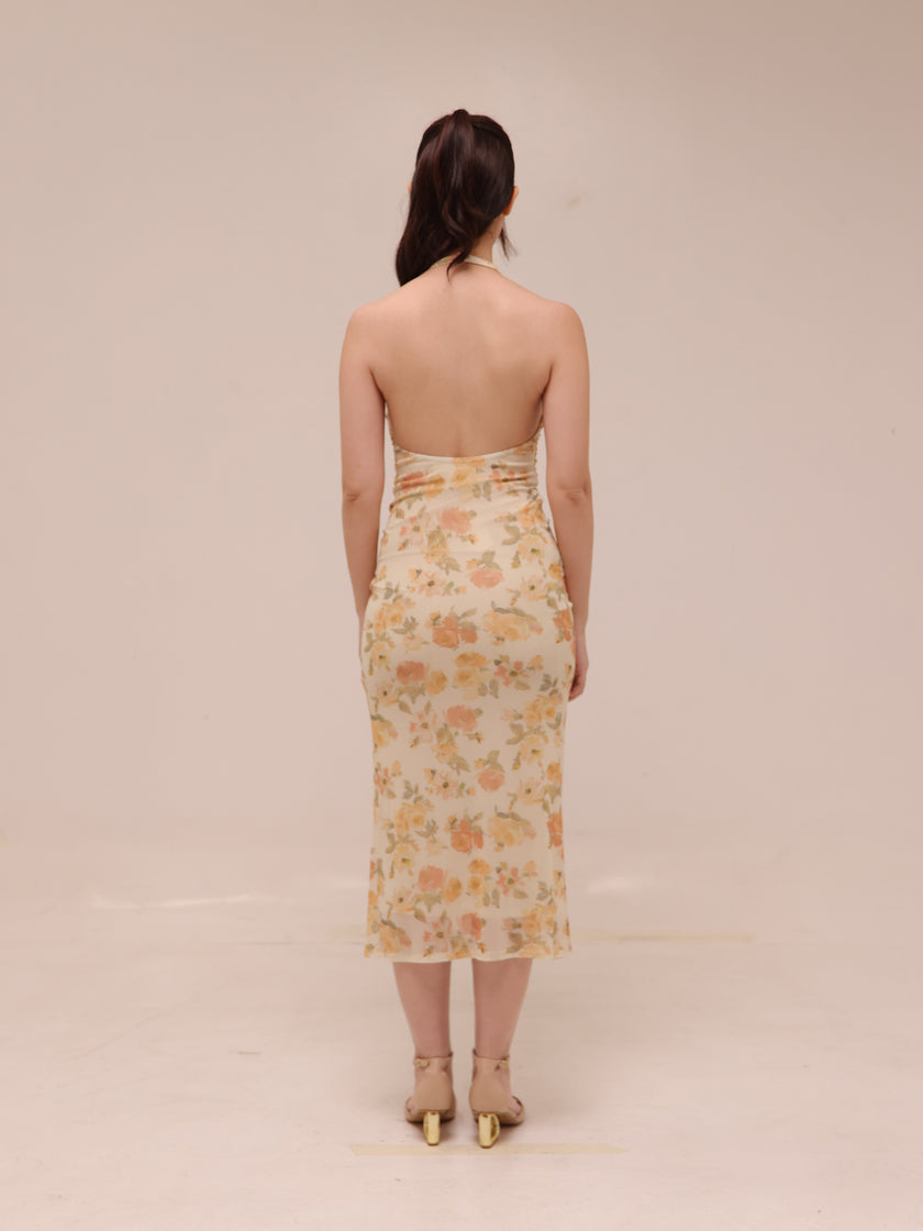 Summer Dress in Cream