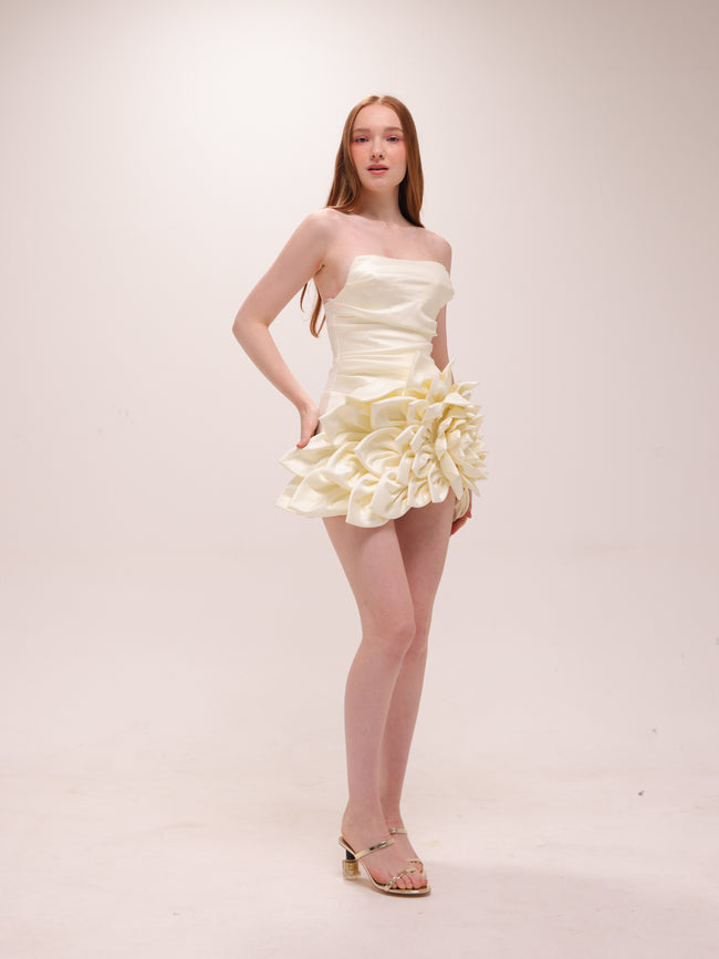 Ivory Rosette Satin Mini Dress